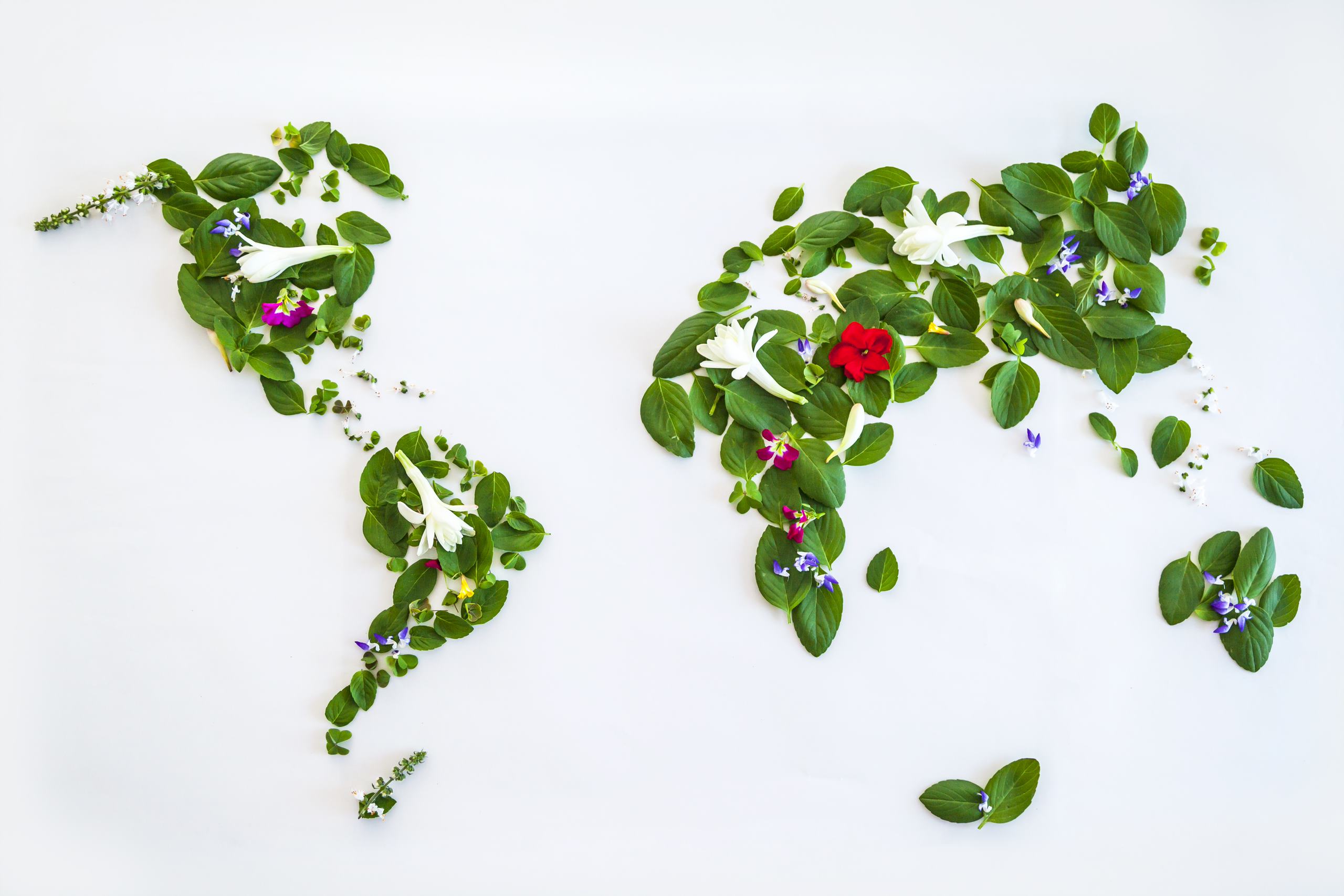 korzysci dla segmentu 3